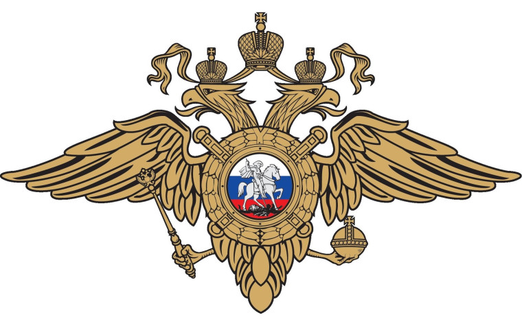 Специализированный класс историко-правоведческого профиля обучения - класс МВД.